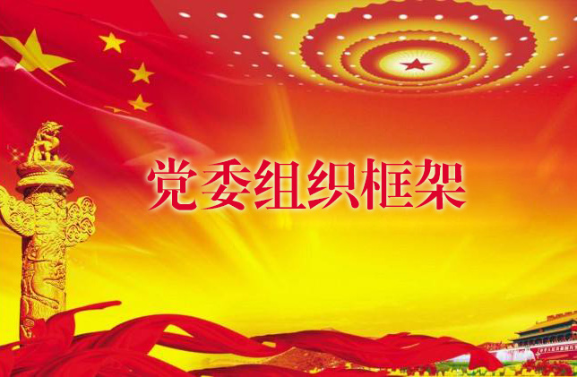 党委组织框架